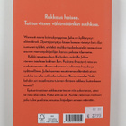 Emmy Abrahamson : Kuinka rakastua mieheen joka tulee pusk... - pikkukuva 2