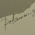 Seppo Polameri -90 Metsäkana - pikkukuva 2