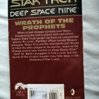 Star Trek DS9 # 20: Wrath of the Prophets (David, Peter) - pikkukuva 2