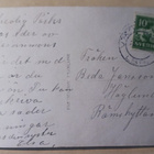 Nuori herrahenkilö tuo Pääsiäismunia ja kukkia p. 1920-l. - pikkukuva 2
