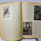 Otava - Kuvallinen kuukauslehti vuosikerta 1918 (sid.) - pikkukuva 4