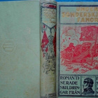 Hydén: Under sönderskjutna fanor (1908) - pikkukuva 1