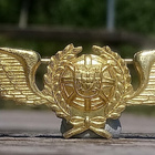 Kullanvärinen Ilmailumerkki. Halkaisija - 86 mm. Ehjä lukitu - pikkukuva 2