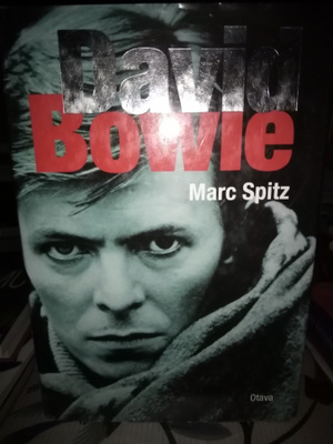SPITZ :  DAVID BOWIE ( SIS POSTIKULU )
