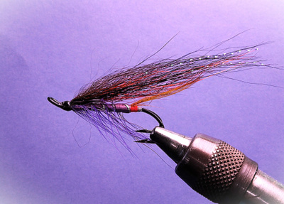 Lohiperho Violetti # 4 d lw