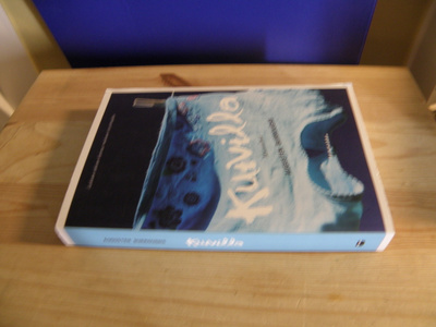 Augusten Burroughs Kuivilla (nidottu)