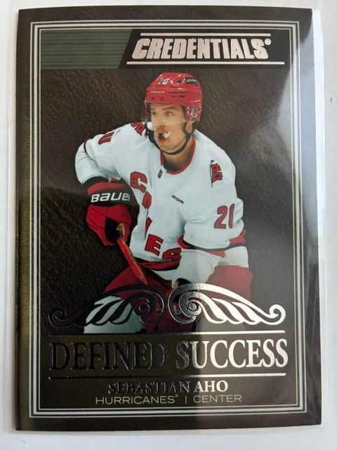 Sebastian Aho 25-26 Credentials #DS-13 Defined Success