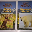 WILD AMERICA LUONTOFILMIÄ VHS KAKSI KPL - pikkukuva 1