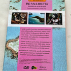 Iso valliriutta ja Koillis-Australia - pikkukuva 2