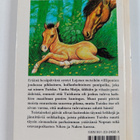 Marie Louise Rudolfsson : Pikkuponi Tuisku - pikkukuva 2