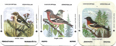 Kahvilappuja 3 erilaista Laululintuja