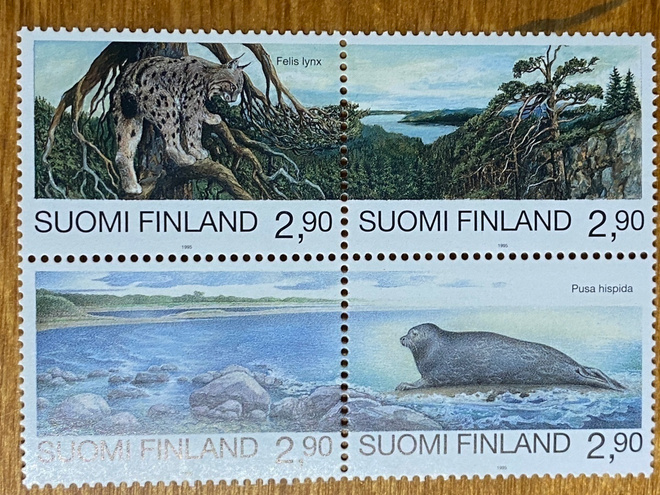 SUOMI-VENÄJÄ YHTEISJULKAISU 1995 NELIÖ**