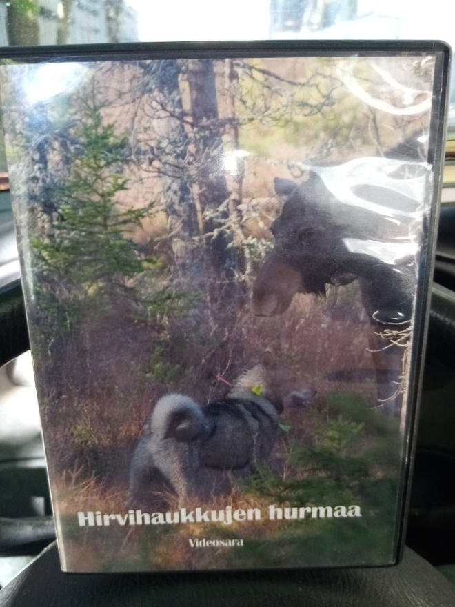DVD HIRVIHAUKKUJEN HURMAA
