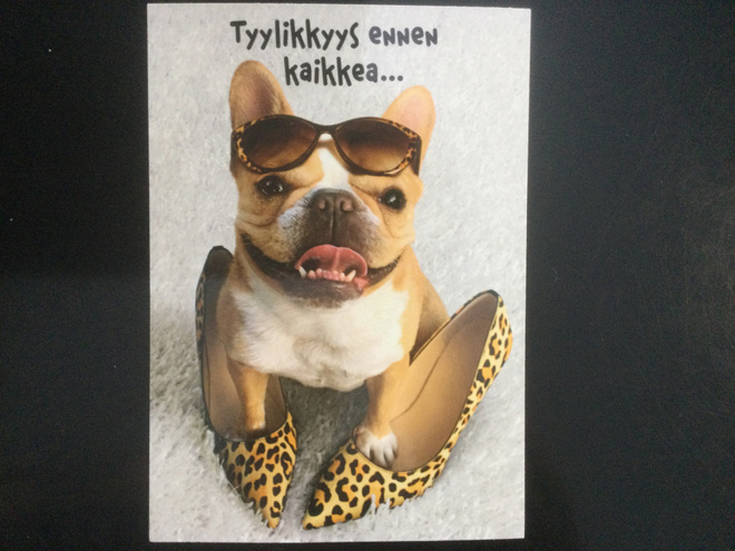 TYYLIKKYYS ENNEN KAIKKEA - POSTIKORTTI.