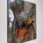 Juha Suonpää : Omppuorava - pikkukuva 1