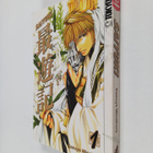 Kazuya Minekura : Saiyuki 1 - pikkukuva 1
