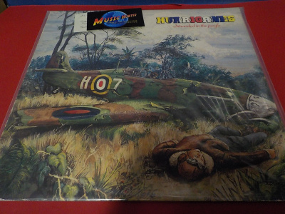 HURRIGANES - STRANDED IN THE JUNGLE M-/EX LP