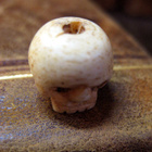 Memento Mori -miniatyyri ”Kallo” - pikkukuva 4