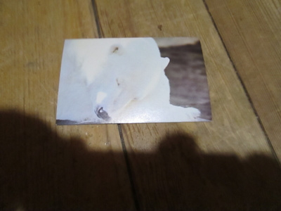  JENKKI   Korkeasaari purkkakuva n:o 39