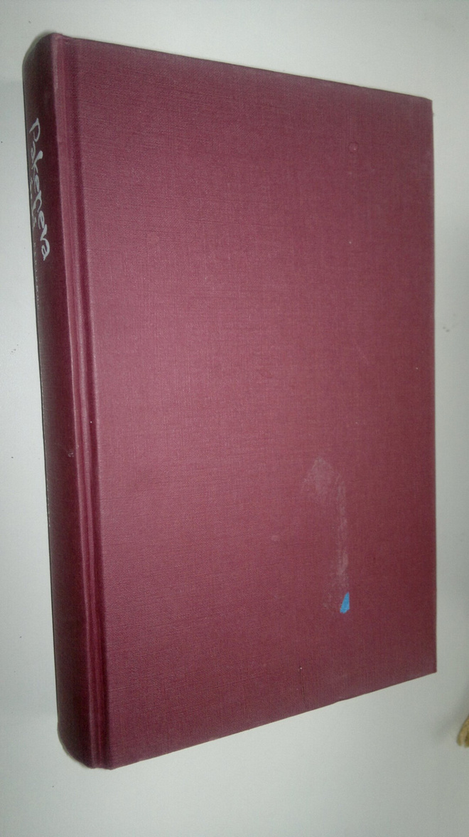 Edmundo Paz Soldan : Pakeneva joki