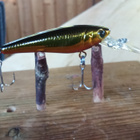 Daiwa SC. Shiner  5cm - pikkukuva 1