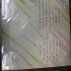SKIDS - THE ABSOLUTE GAME - M-/EX+ 2LP - pikkukuva 2