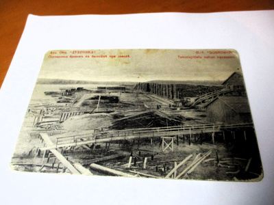 Venäjä Dubrovkan paperitehdas tukinlajittelu 1916 *