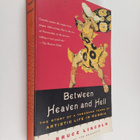 W. Bruce Lincoln : Between Heaven and Hell - The Story of... - pikkukuva 1
