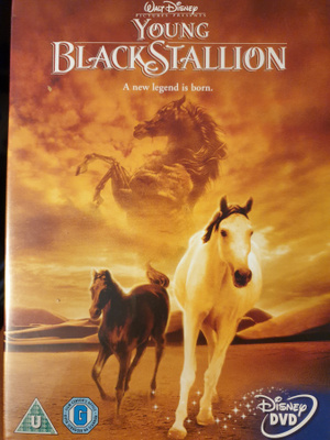 YOUNG BLACK STALLION DVD