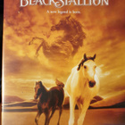 YOUNG BLACK STALLION DVD - pikkukuva 1
