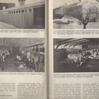 Karjatalous n:o 3 1970 Onko kannen kuvassa Miss Suomi ?????? - pikkukuva 2