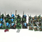 WHFB - 41kpl Lizardmen Saurus Warriors + Skinks [F1] - pikkukuva 1