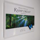 Peter Lik : World Heritage Rainforest Australia - pikkukuva 1