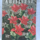 Kotiliesi N:o 9 1954 toukokuu - pikkukuva 1