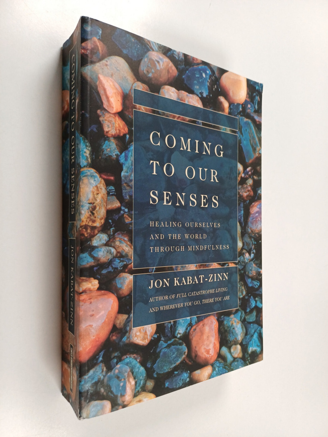 Jon Kabat-Zinn : Coming to Our Senses - Healing Ourselves...