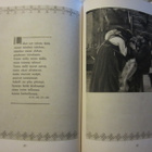 Kalevalan kauneutta Valokuvin valaistuja runosäkeitä v. 1935 - pikkukuva 5