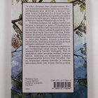 Annina Holmberg : Amorina, kesähevonen - pikkukuva 2