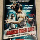 Dragon tiger gate (2006) kung fu -toimintaa (2DVD) - pikkukuva 1