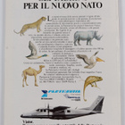 Abstracta n. 6 : Curiosita della cultura e cultura delle ... - pikkukuva 2
