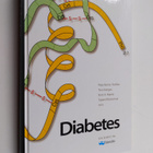 Pirjo Ilanne-Parikka : Diabetes - pikkukuva 1