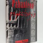 Monika Mattsson : Pahanteon psykologia : raportti rikolli... - pikkukuva 1