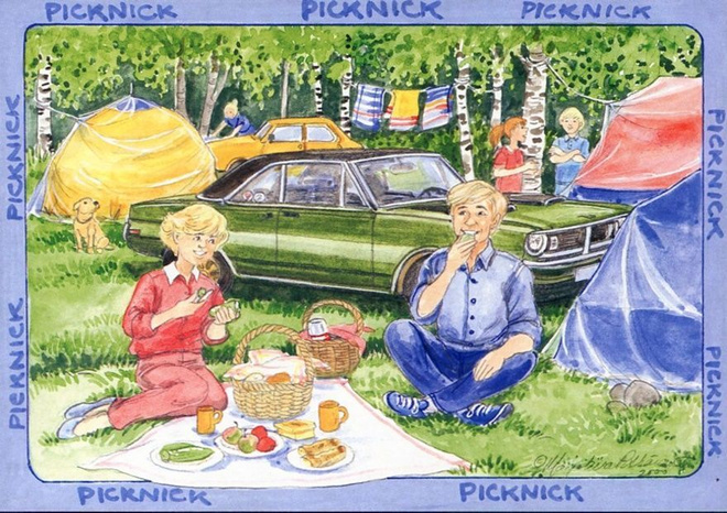 Marjaliisa Pitkäranta, PICNICK, käyttämätön