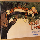 Lassi ja Leevi juhlakirja 5 - pikkukuva 1