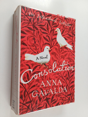 Anna Gavalda : Consolation