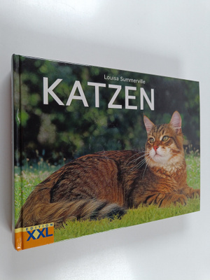 Katzen