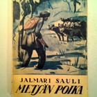 Sauli Jalmari: Metsän poika, v. 1924 - pikkukuva 1