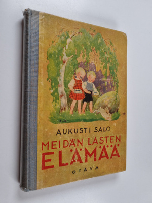 Aukusti Salo : Meidän lasten elämää