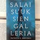 Patricia G. Bertenyi - Salaisuuksien galleria (pokkari) - pikkukuva 1