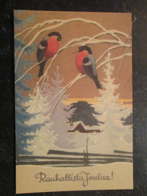 KULKEMATON RUDOLF KOIVU PUNATULKUT PIHAPUUN OKSILLA
