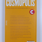 Elisa Juholin : Cosmopolis : yhteiskuntavastuusta yritysk... - pikkukuva 2